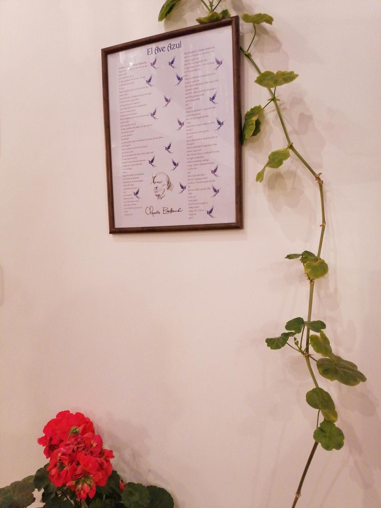 El Ave Azul Boutique Hotel Cuzco Eksteriør bilde